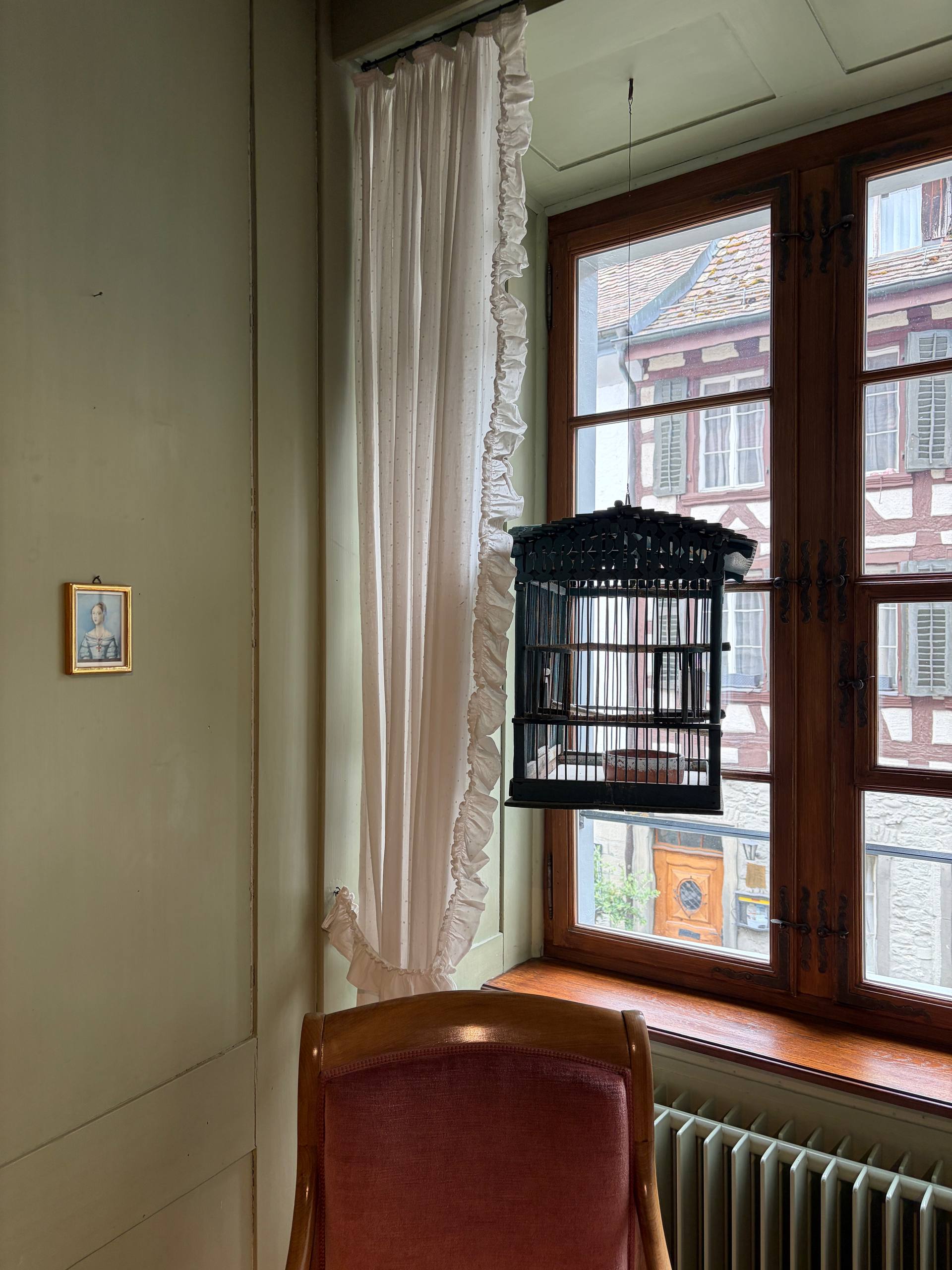 Galerie-Bild