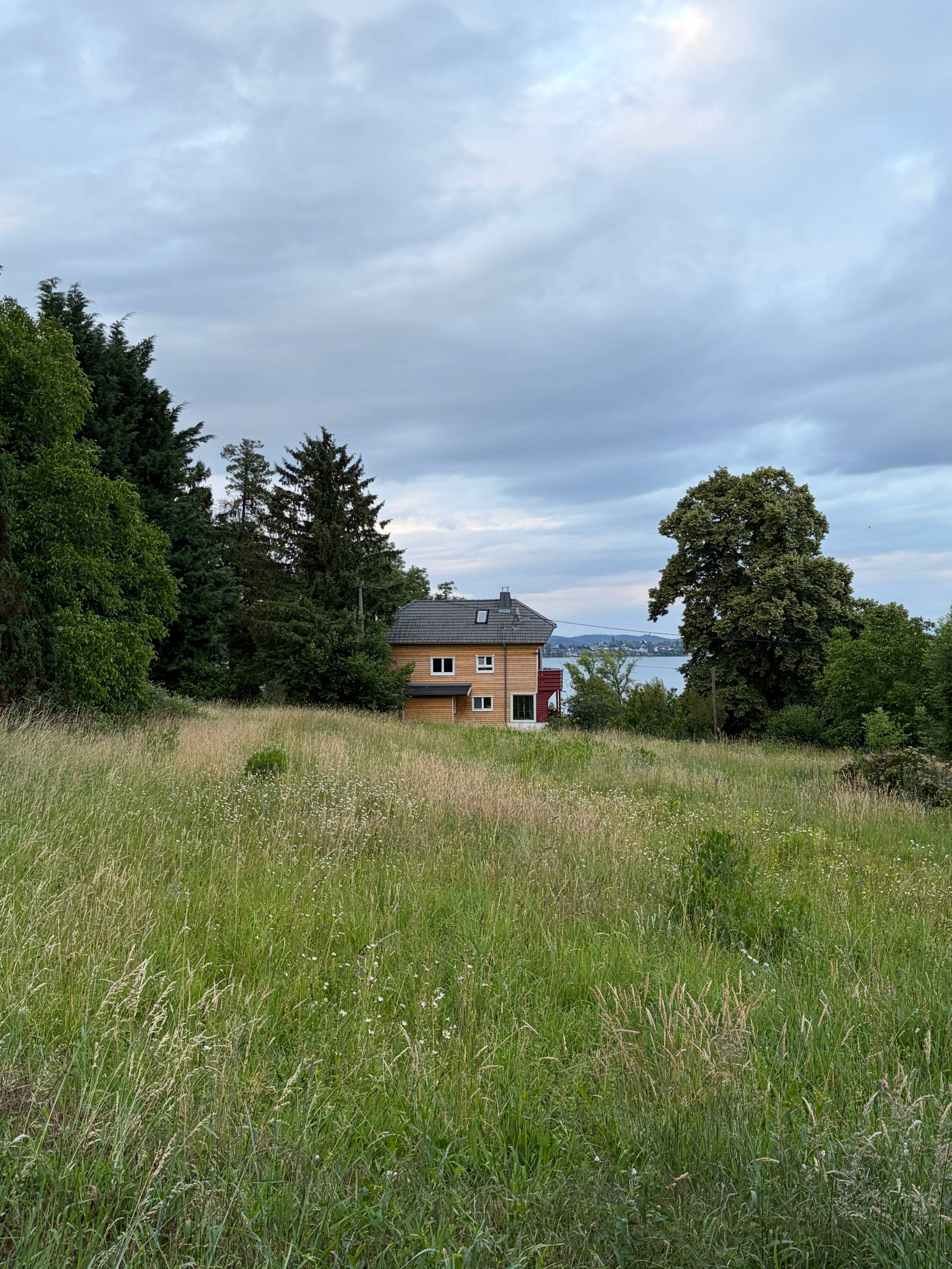 Galerie-Bild